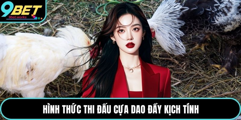 Hình thức thi đấu cựa dao đầy kịch tính
